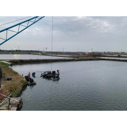 ★限店取貨★ ｜成龍溼地選物店｜ 郭棟阿公的文蛤